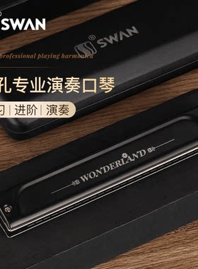 进口音簧高级轻奢24孔复音口琴
