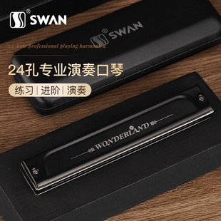 进口音簧高级轻奢24孔复音口琴高端成人专业演奏级28孔送礼物乐器