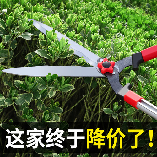园艺草坪大剪刀树枝篱笆修枝剪绿化修绿篱园林花木剪刀草专用工具