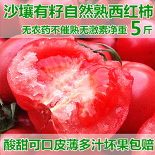 普罗旺斯西红柿新鲜蔬菜5斤包邮当季整箱自然熟10沙瓤水果大番茄