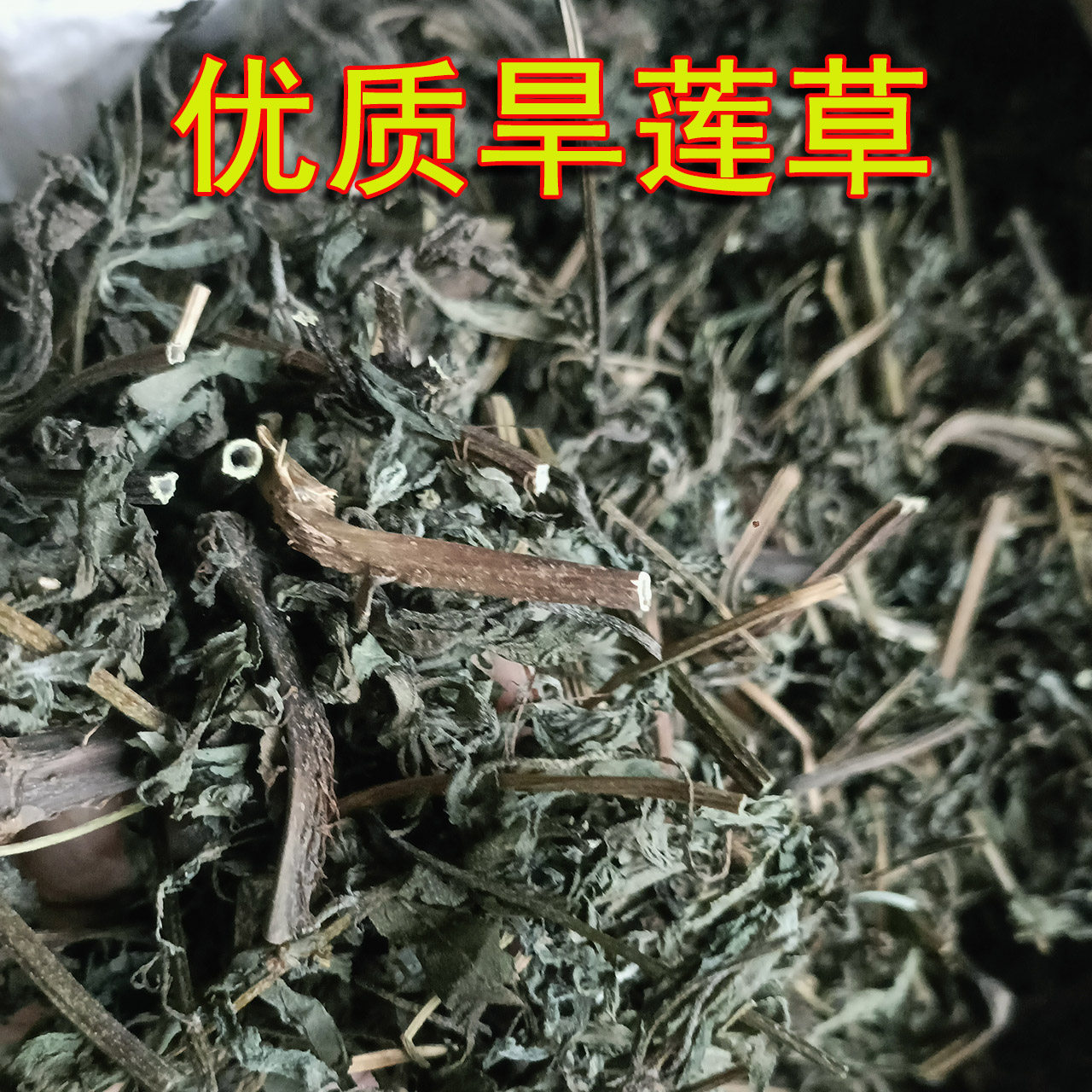 纯天然野生墨旱莲旱莲草新货晒干无硫正品女贞子晒干货正宗墨旱莲