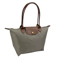 Классическая средняя черепаха голубь пепела