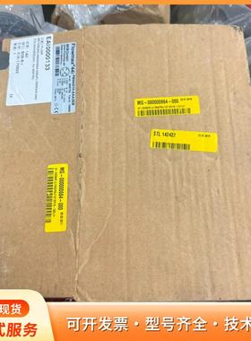 Flowmax 44i流量计，型号FM44iD10-AAAp