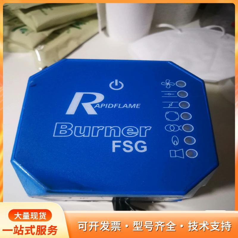 燃烧器控制器FSGp