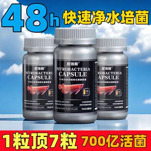 尼特利硝化细菌胶囊水族净水剂亚酸硝盐去除稳定剂鱼缸硝化细菌