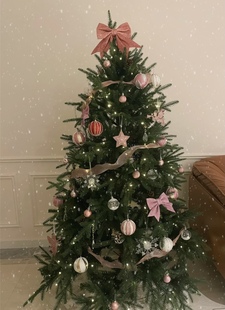 绝美～很优质圣诞节装 饰品雪人房子五角星组合挂饰儿童圣诞树