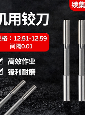 直柄机用铰刀12.51 12.52 12.53 12.54 12.56 12.57 12.58 12.59