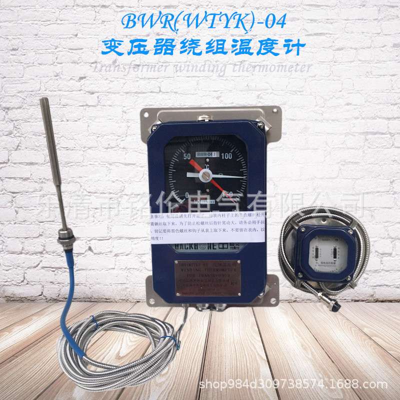 主变绕组温度控制器BWR(WTYK)-04 04A 04J 04D 04AJ(TH)杭州博阳