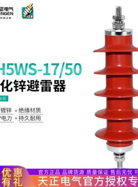 天正10KV高压配电型防雷器避雷器YH/HY5WS-17/50户外硅橡胶一体式
