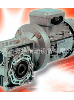 CHIARAVALLI蜗轮减速机 CHIARAVALLI齿轮减速机 CHO52