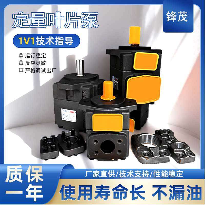 单泵/双联叶片泵PV2R11/PV2R21/1/31/32油泵总成液压系统泵头配件