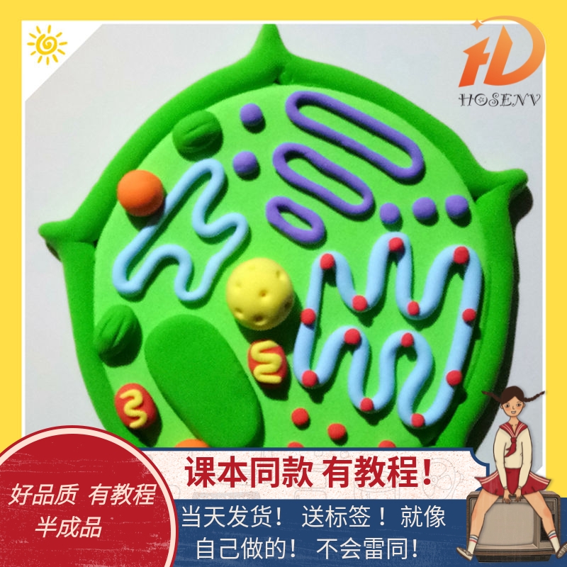 生物细胞模型材料成品初一高中