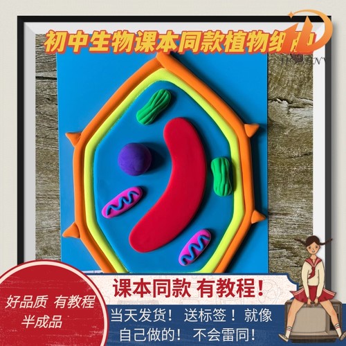 diy细胞动物粘土太空泥高一初一