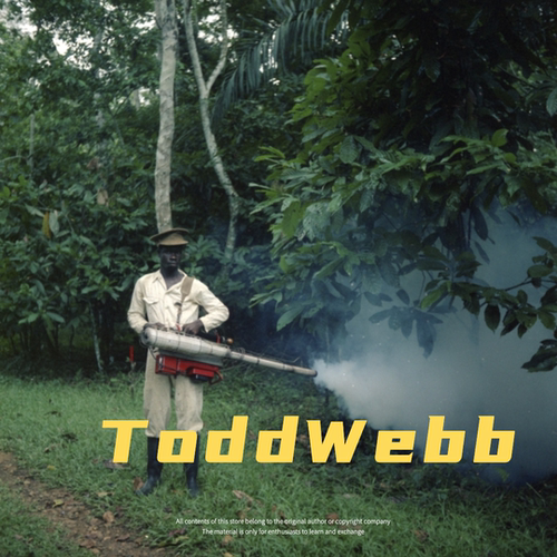 美国摄影师 Todd Webb都市人文肖像纪实大师作品集摄影参考素材