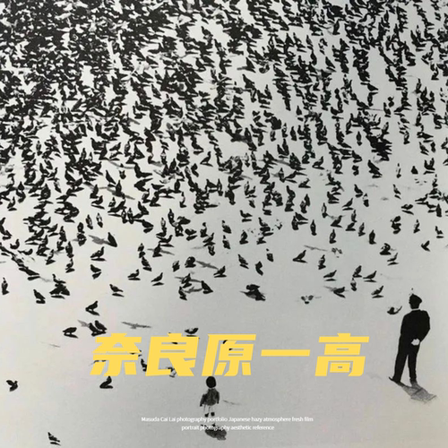 奈良原一高 Narahara Ikko 日本当代摄影师 个人纪实摄影参考素材