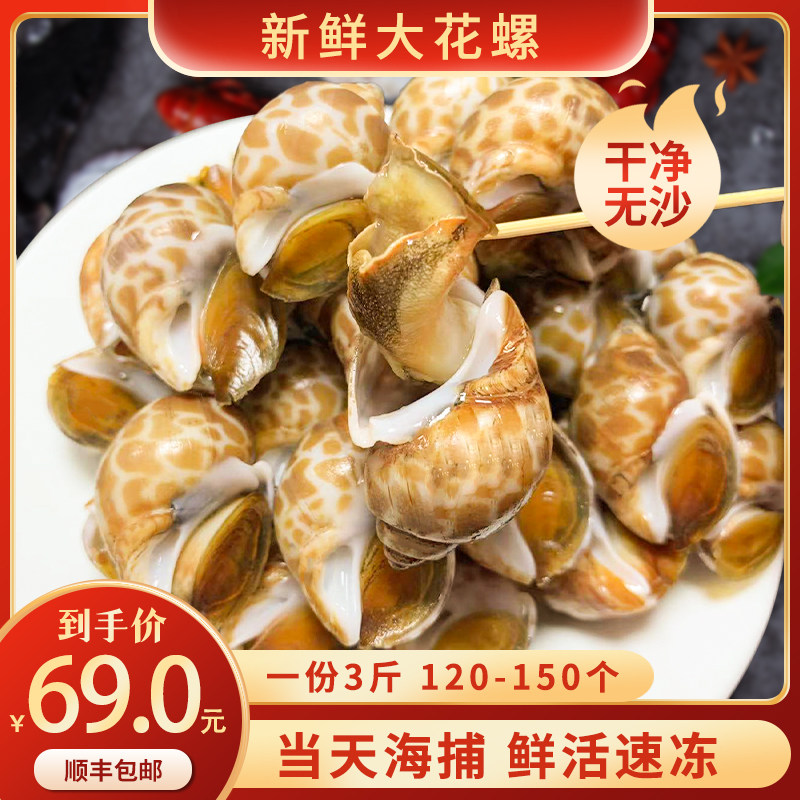 花螺鲜活新鲜海螺东风螺猫眼螺凤螺香螺海鲜水产冷冻特大花螺3斤