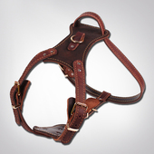 大狗牛皮胸背带中大型犬金毛德牧拉布拉多真皮可调节狗绳子项圈