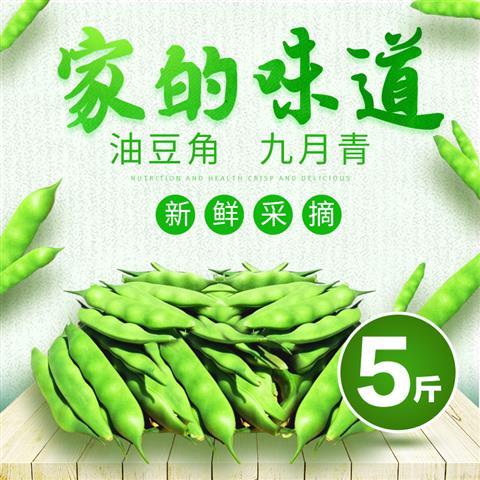 新鲜包邮5斤东北油豆角新鲜蔬菜九月青豆角农家自种豆角开锅烂在类目 水产肉类/新鲜蔬果/熟食, 新鲜蔬菜/蔬菜制品, 新鲜蔬菜, 新鲜豆类中 - 来自Buy2taobao.com提供专业的淘宝代购服务