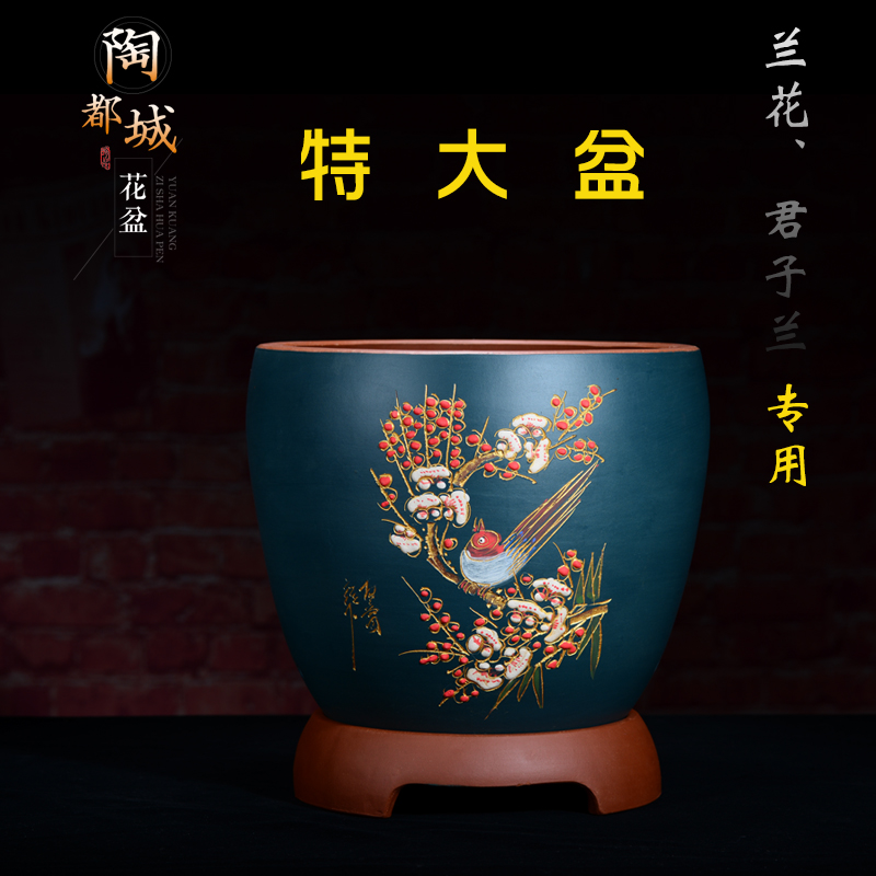 精品紫砂花兰吊兰多肉植物盆景盆