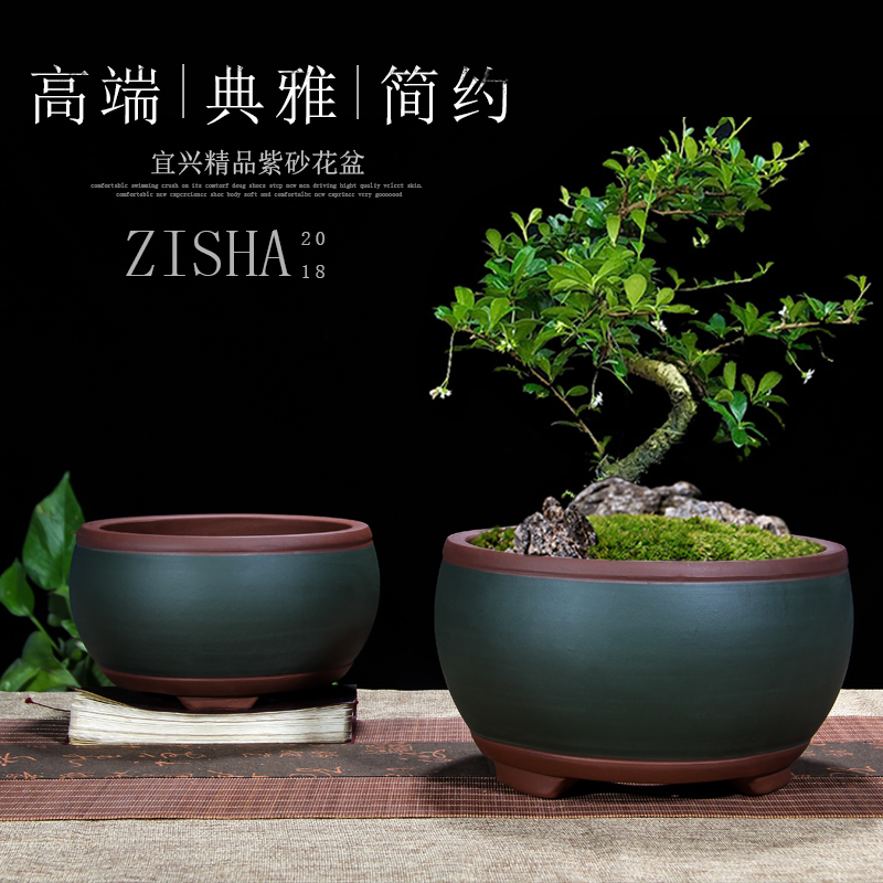 宜兴紫砂盆景盆多肉植物蝴蝶兰