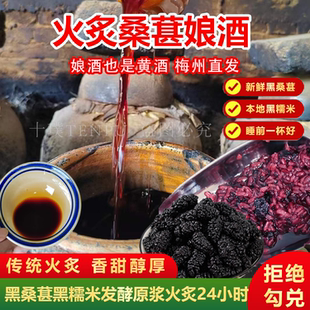 桑葚黄酒火炙娘酒果酒客家黑糯米酒甜酒酿月子酒梅州特产农家自酿