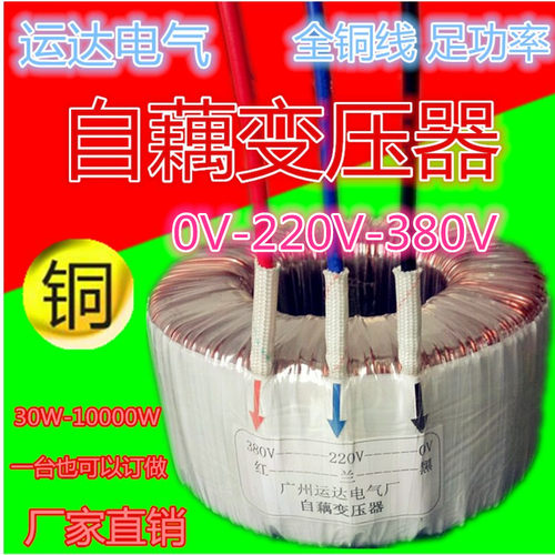 环形自耦变压器 220V转380V 200W250W300W350W400W450W500W(VA)