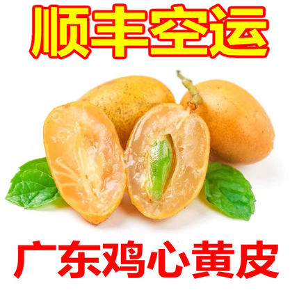 【顺丰空运】广东鸡心黄皮果郁南黄皮当季新鲜孕妇果非无核冰糖心