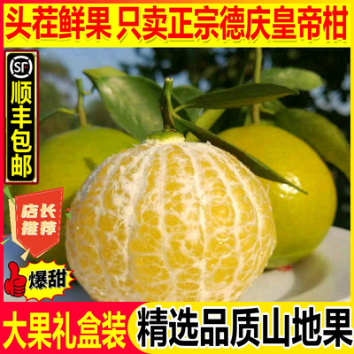 现货顺丰新鲜德庆皇帝柑大果礼盒