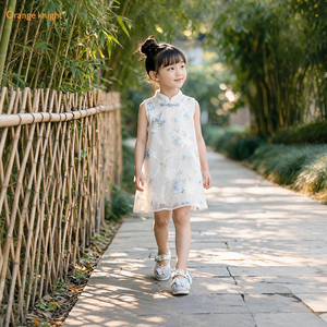 小女孩夏季款新中式旗袍立领无袖连衣裙儿童民族风碎花网纱背心裙
