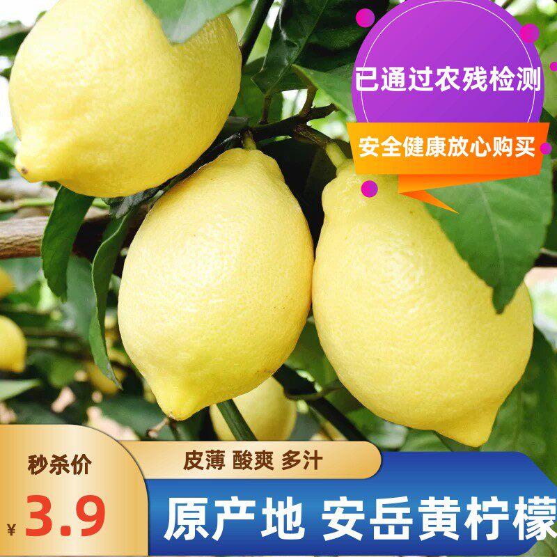 安岳精选当季黄柠檬新鲜水果一二级大中小皮薄多汁特价整箱奶茶店