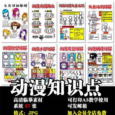 手绘Q版动漫基础知识点三庭五眼绘画海报培训机构画室墙电子素材