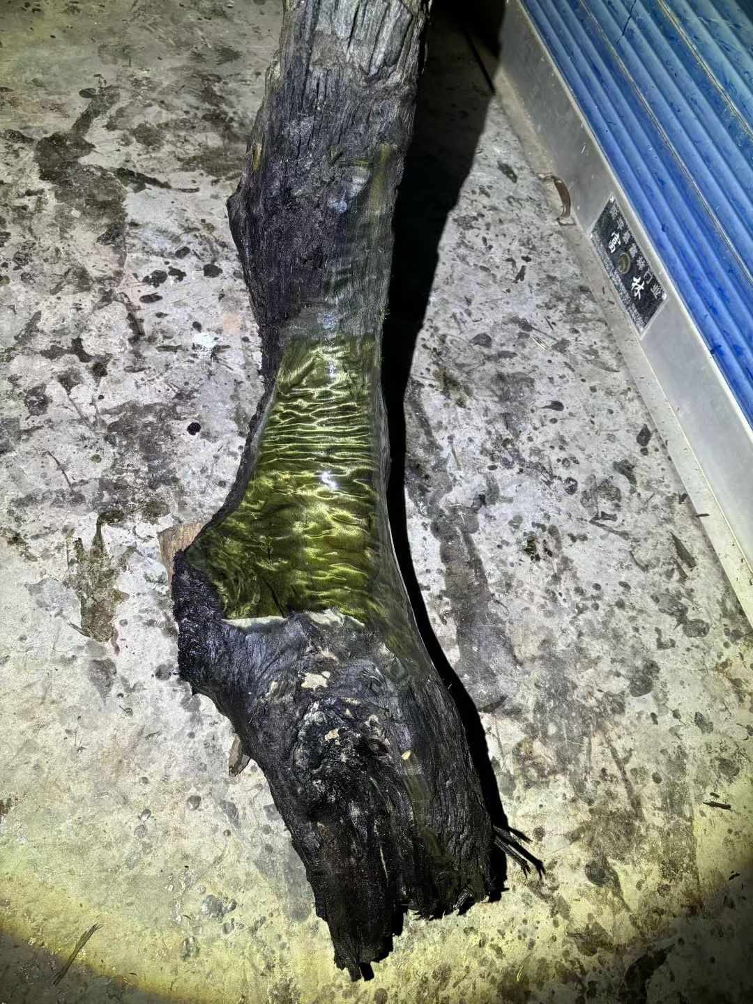 阴沉金丝楠乌木料川渝正宗小叶桢楠原木料保真香味细水波纹佛珠料