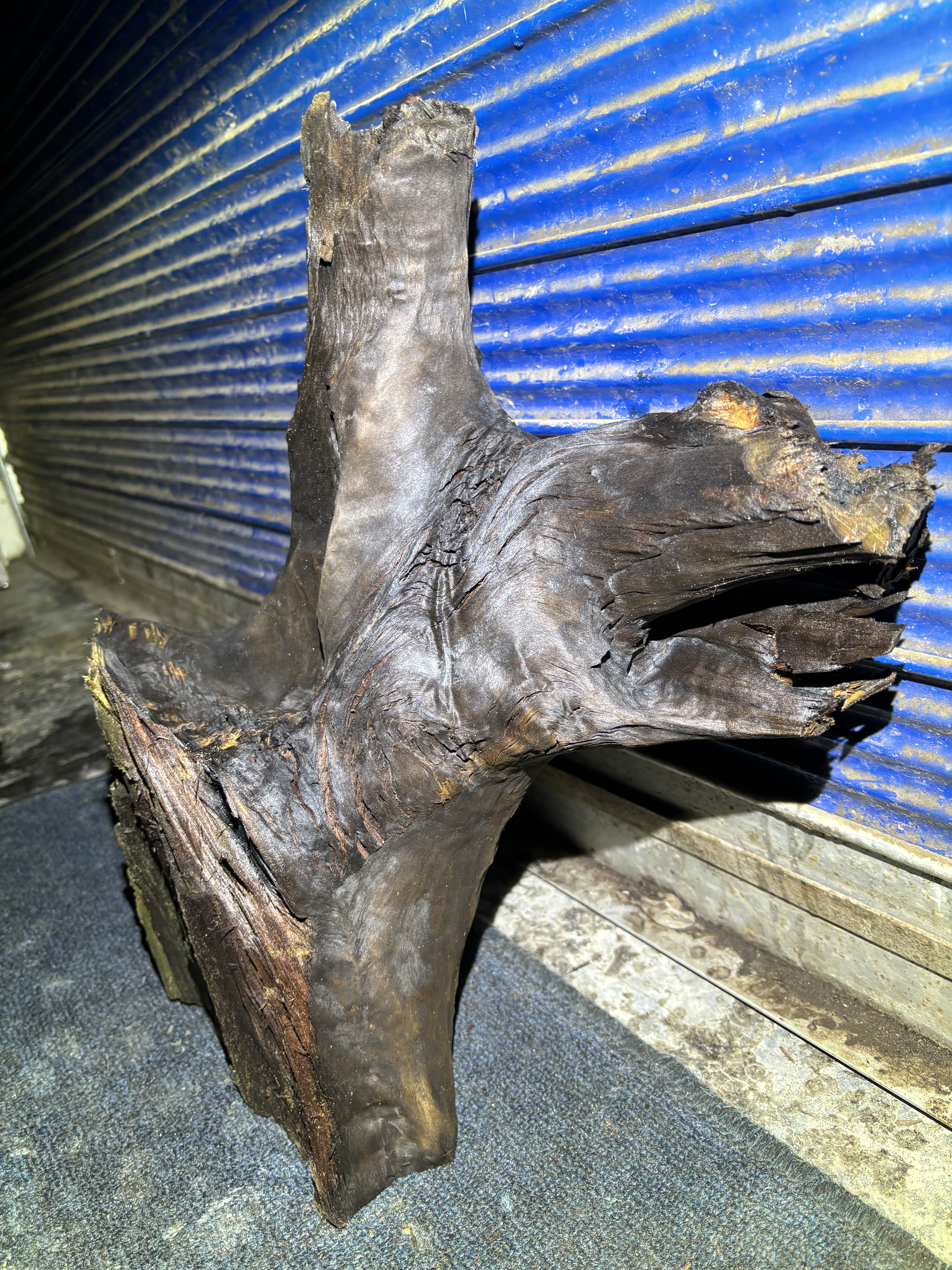 阴沉金丝楠乌木料川渝正宗小叶桢楠原木料保真香味凤尾闪电摆件料