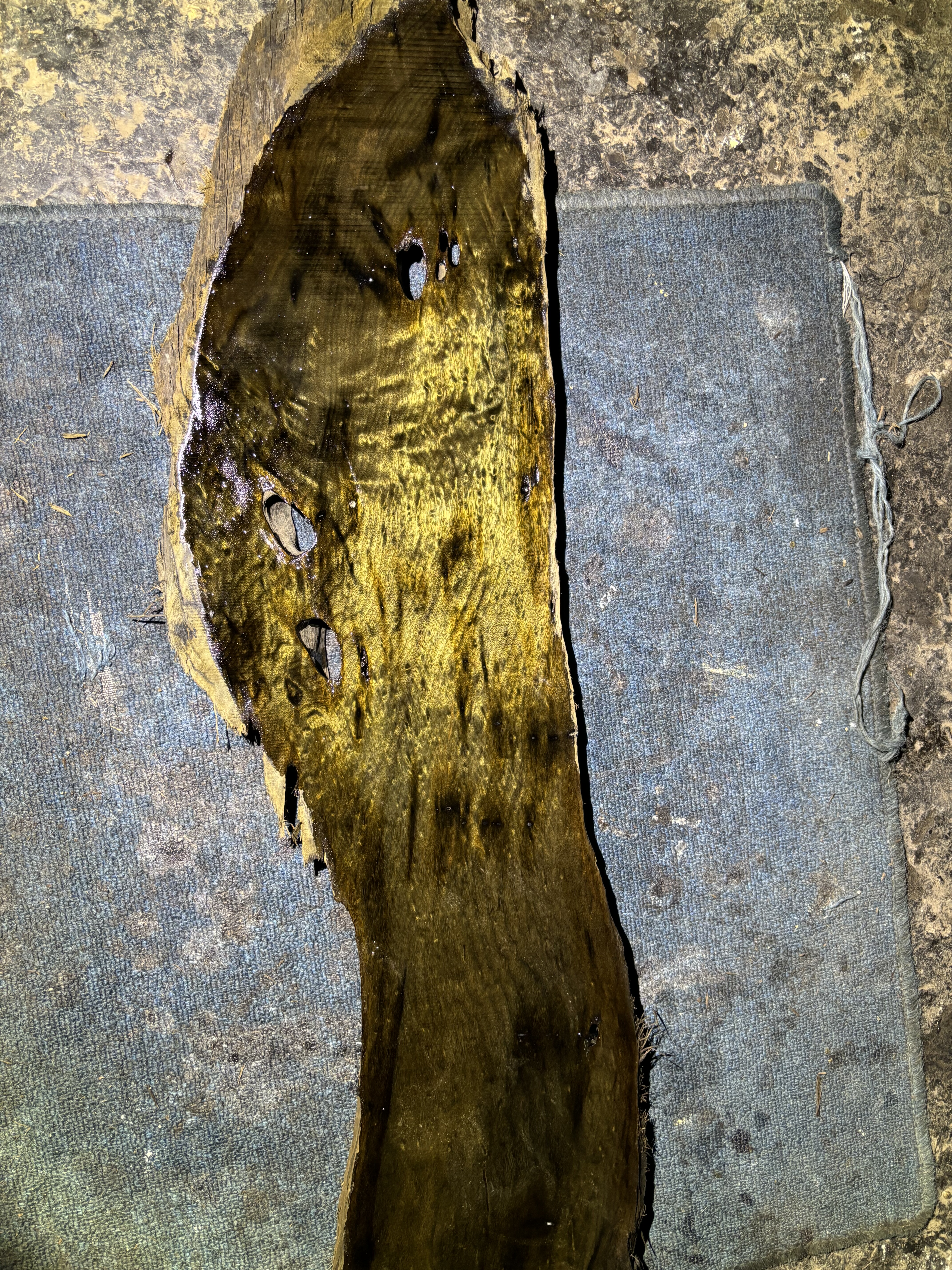 阴沉金丝楠乌木料川渝正宗小叶桢楠原木料保真香味 满花小龙胆板