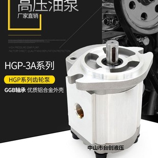 14R 17R 28R 30R液压 25R 11R 23R BAKES高压齿轮油泵HGP 19R