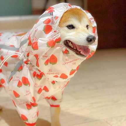 狗狗雨衣中型犬四脚衣服全包宠物柴犬冬季可爱网红2021新款服装