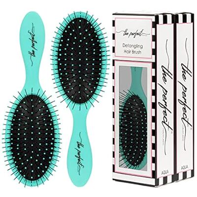 Gentle Wet or Dry Hair Brush for Detangling and Styling -