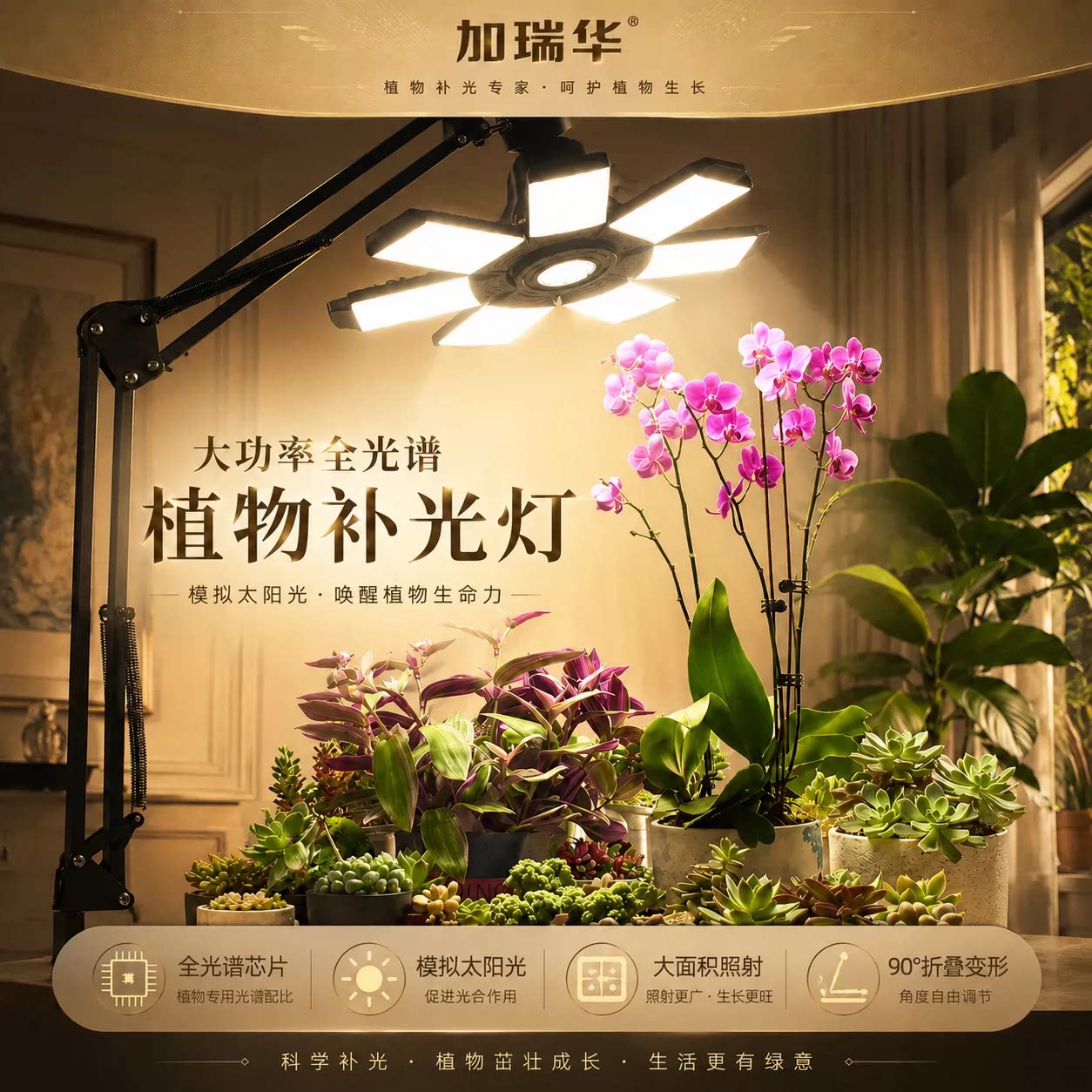 仿太阳光全光谱植物补光灯阳台支架室内养兰花卉月季植物生长灯图片