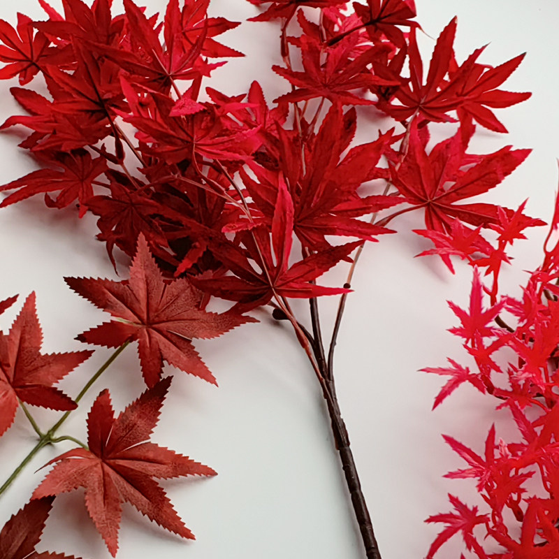 仿真红枫叶树叶假叶子装饰金红意大利秋天假花摆盘红叶盆景枫树叶