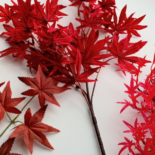 仿真红枫叶树叶假叶子装饰金红意大利秋天假花摆盘红叶盆景枫树叶