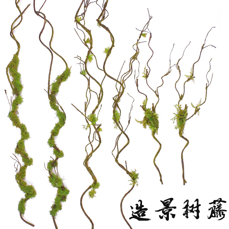 随意弯曲造景树枝苔藓藤条