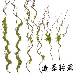 随意弯曲造景树枝苔藓藤条