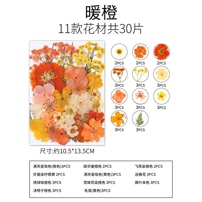 干花diy材料包永生花压花片押花草手工滴胶书签真花植物树叶标本,家居饰品,干花/花瓣/干花包/干树枝,淘宝优惠券,粉丝福利购,淘宝优惠卷