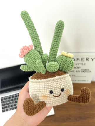 DIY手工仙人掌盆栽钩织jelly玩偶娃娃摆件毛线编织材料包钩针礼物