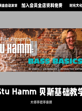 Truefire Stu Hamm 贝斯基础教视频教学贝斯入门进阶视频教学
