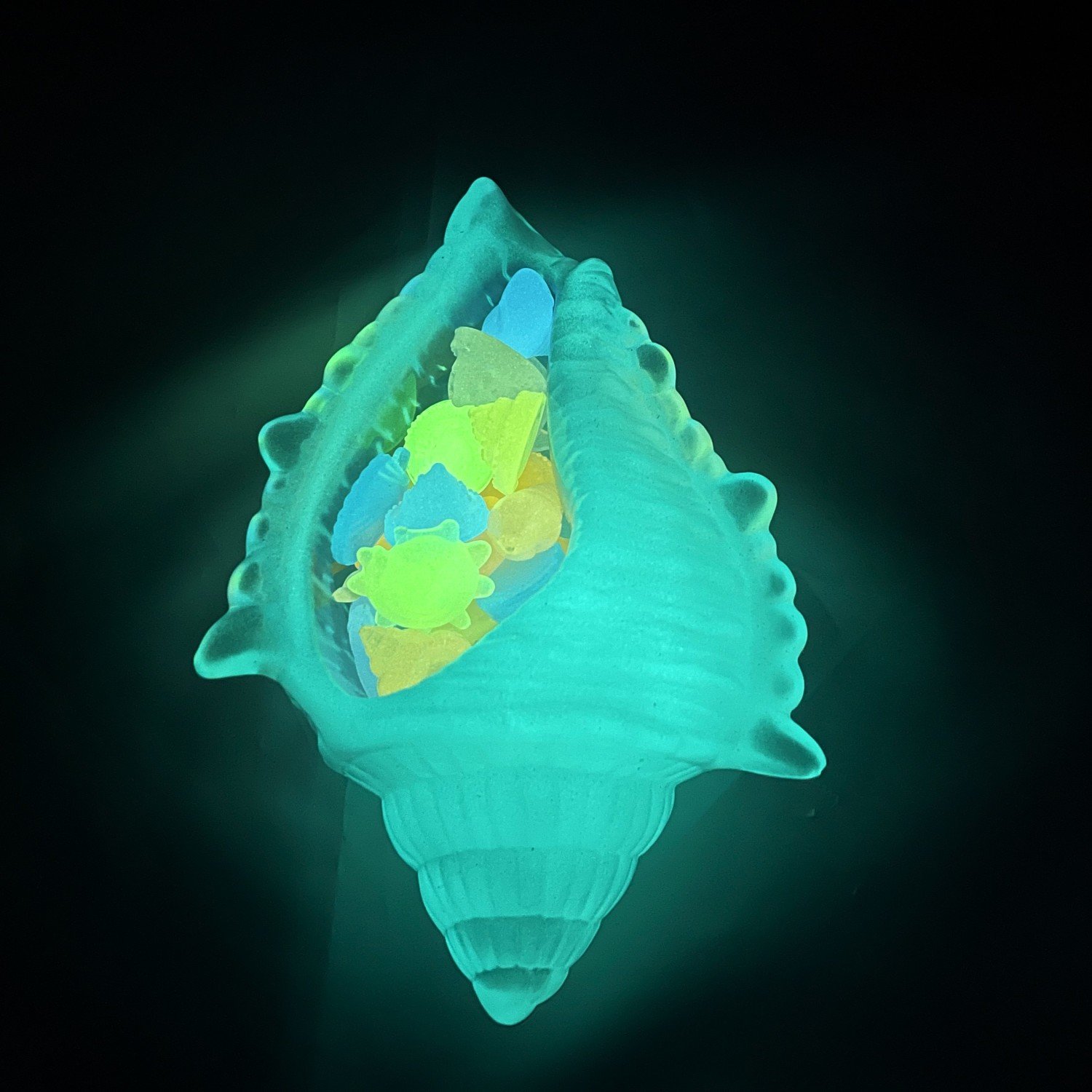 夜光海螺儿童发光玩具桌面摆件