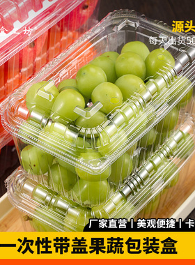 一次性水果盒塑料透明加厚带盖包装盒500g超市蔬菜车厘子草莓盒子