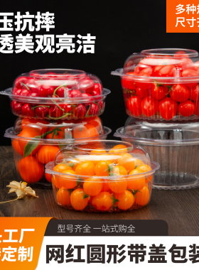 一次性网红圆形24DL水果盒透明塑料带盖西梅小番茄圣女果冬枣包装