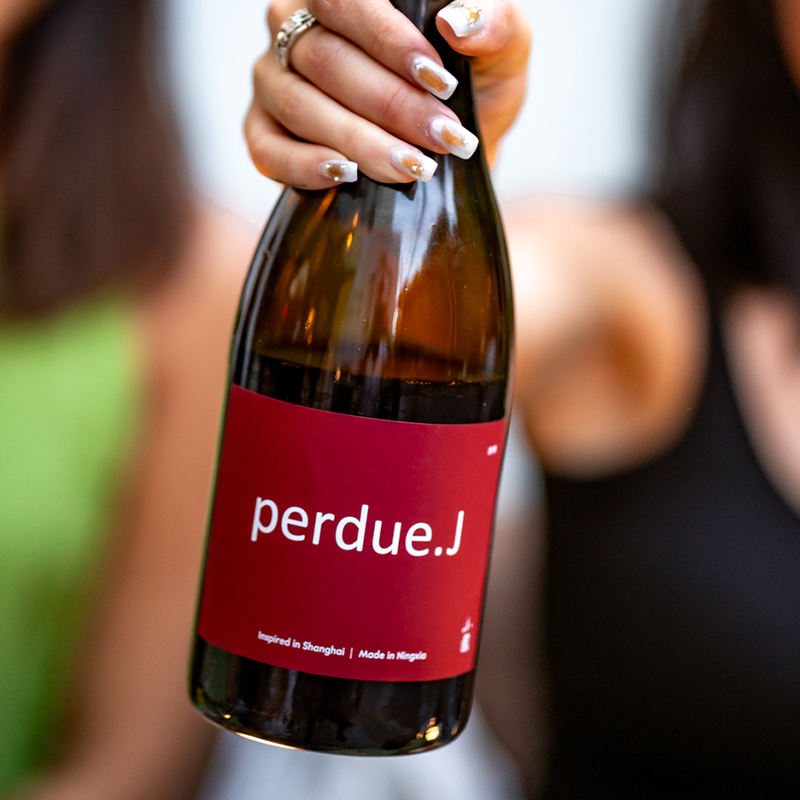 果味炸弹~宁夏贺兰山天水小圃酿造perdue迷惘J黑皮诺干红葡萄酒