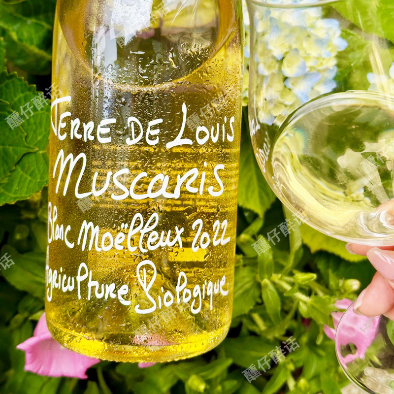 清爽版贵腐！法国原瓶进口路易酒庄小众宝藏风信子半甜白葡萄酒